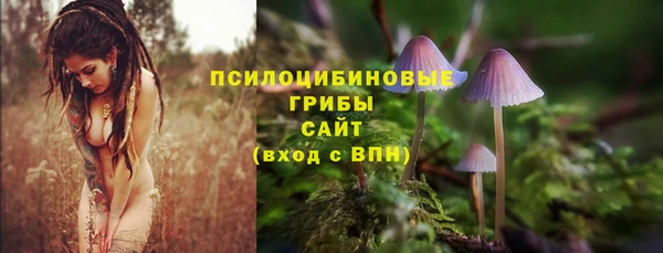 эйфоретик Михайловка