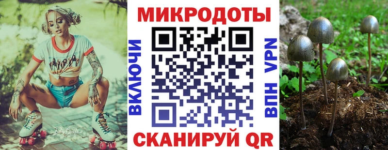где найти   Химки  Галлюциногенные грибы MAGIC MUSHROOMS 