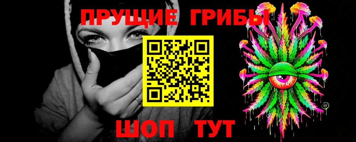 Псилоцибиновые грибы Cubensis Химки